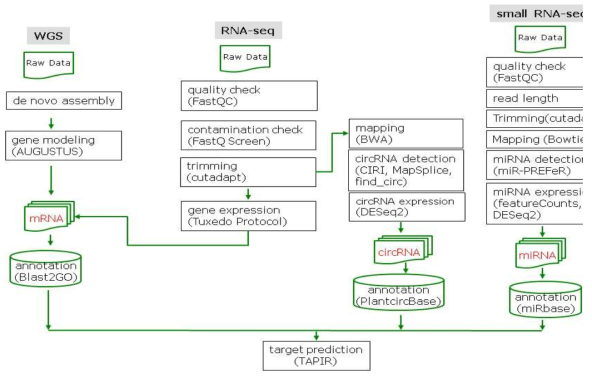 miRNA-mRNA-circRNA interaction 분석 pipeline