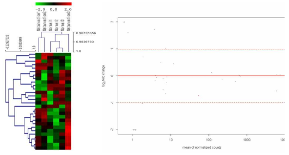 Small RNA-seq 분석에서 예측된 miRNA의 발현량을 Heatmap과 분포도로 시각화