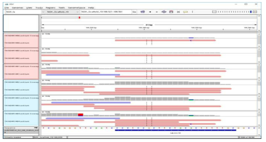 Schematic representation of miRNAs on the genomic map of Nannochloropsis salina