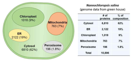 Nannochloropsis salina 전사체의 compartment 분류