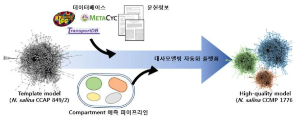 완성도 높은 게놈 수준의 미세조류 대사모델 구축 과정 모식도