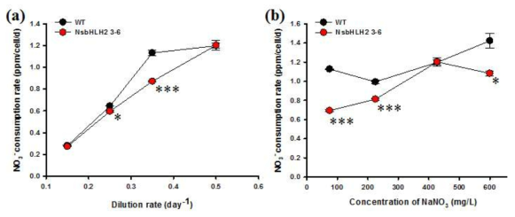 Continuous 배양시 (a) dilution rate과 (b) 초기 NaNO3 농도 변화에 따른 cell 당 nitrate 소모량