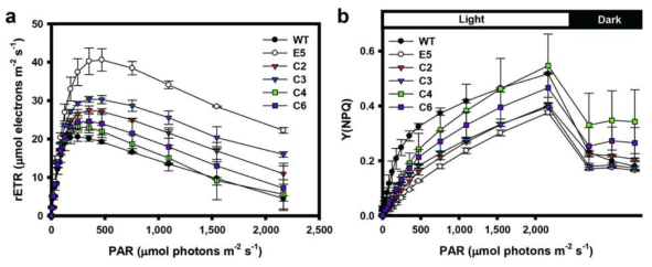 엽록소 형광분석을 통한 (a) relative electron transport rate 및 (b) yield of non-photochemical quenching 분석