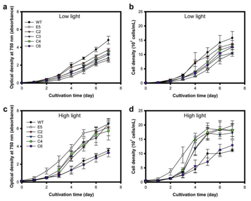 C. vulgaris 야생종 (WT), E5 및 complemented strain (C2, C3, C4, C6) 의 photoautotrophic 조건 하에서의 성장속도. (a, b) 낮은 광도에서의 optical density 및 cell density. (c, d) 높은 광도에서의 optical density 및 cell density