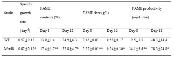 야생형 미세조류 및 Mut68의 세포성장속도, 지질축적량의 분석