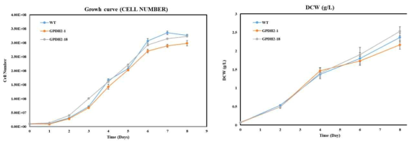 GP2-1과 GP2-18 성장곡선