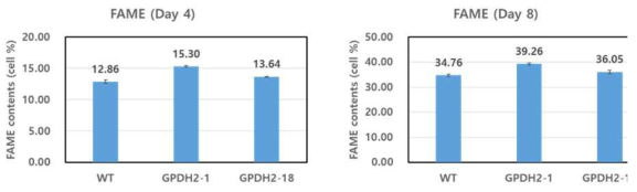대조군 WT과 GPDH 과발현 종의 FAME 함량 비교