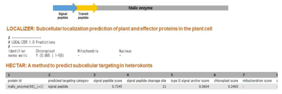 LOCALIZER와 HECTAR를 이용한 Malic enzyme 위치분석