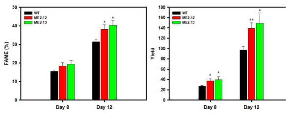 Malic enzyme 과발현 형질 전환체 Growth curve 및 Dry cell weight 결과