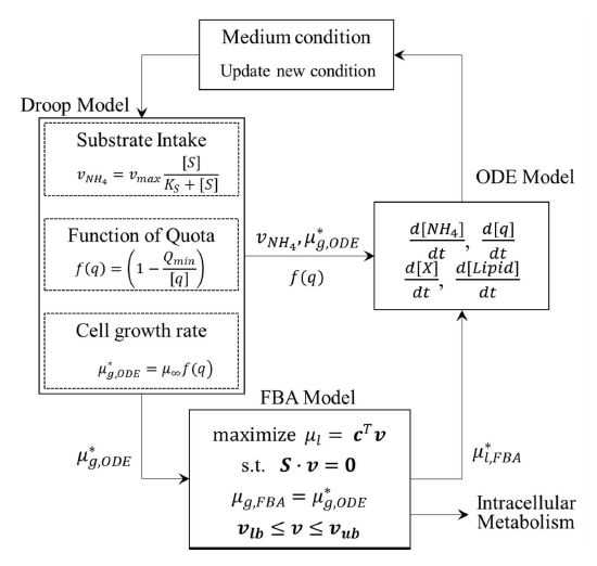 통합 모델을 이용한 시뮬레이션 알고리즘