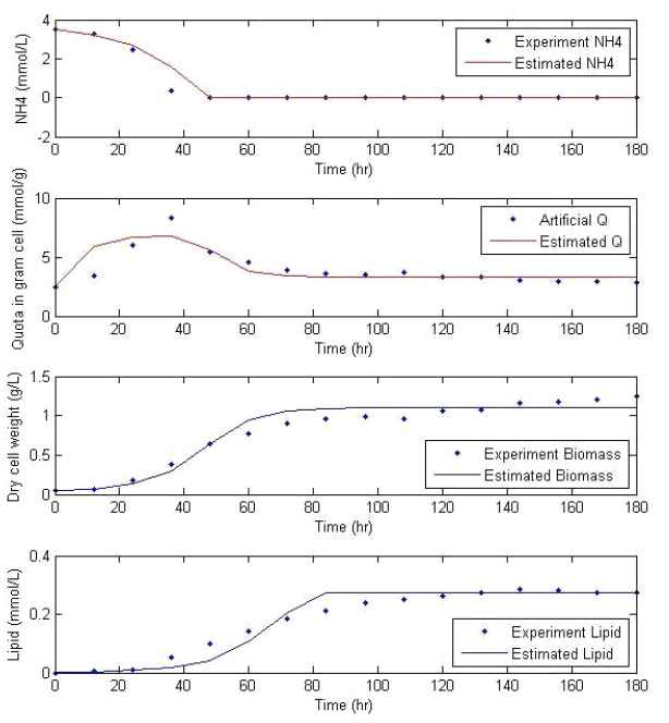 [NH4] 초기 농도가 3.5mM인 실험 데이터와 통합 모델을 이용하여 미세조류 성장과 오일함량 예측 결과 비교