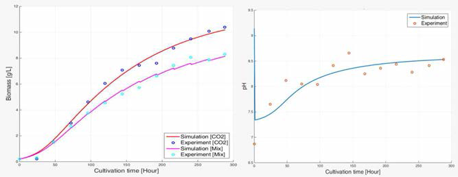 미세조류 동적 성장모델 시뮬레이션 결과와 실제 배양 데이터의 비교