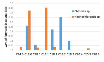 Chlorella sp.와 Nannochloropsis sp.에서 추출한 지질의 지방산 비율 차이
