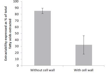 세포벽 유무와 지질 추출 효율간의 상관관계