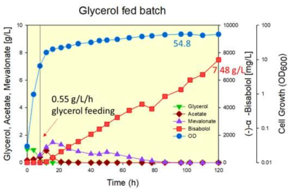 Glycerol fed batch에 의핸 비사볼올 생산, 120h 약 7.48g/L 생산량 보임