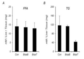 HFD 모델 마우스의 지방간에 대한 BisaB와 BisaT의 효과