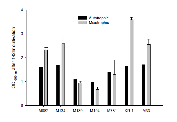 선별된 7균주에 대한 독립영양 및 복합영양배양에서의 지질 함량 균체성장 비교(플라스크 배양)