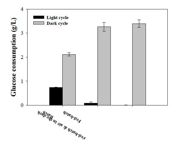 인공 CO2를 이용한 batch 및 fed-batch의 영양 조건에 따른 light cycle 및 dark cycle에서의 포도당 소비량