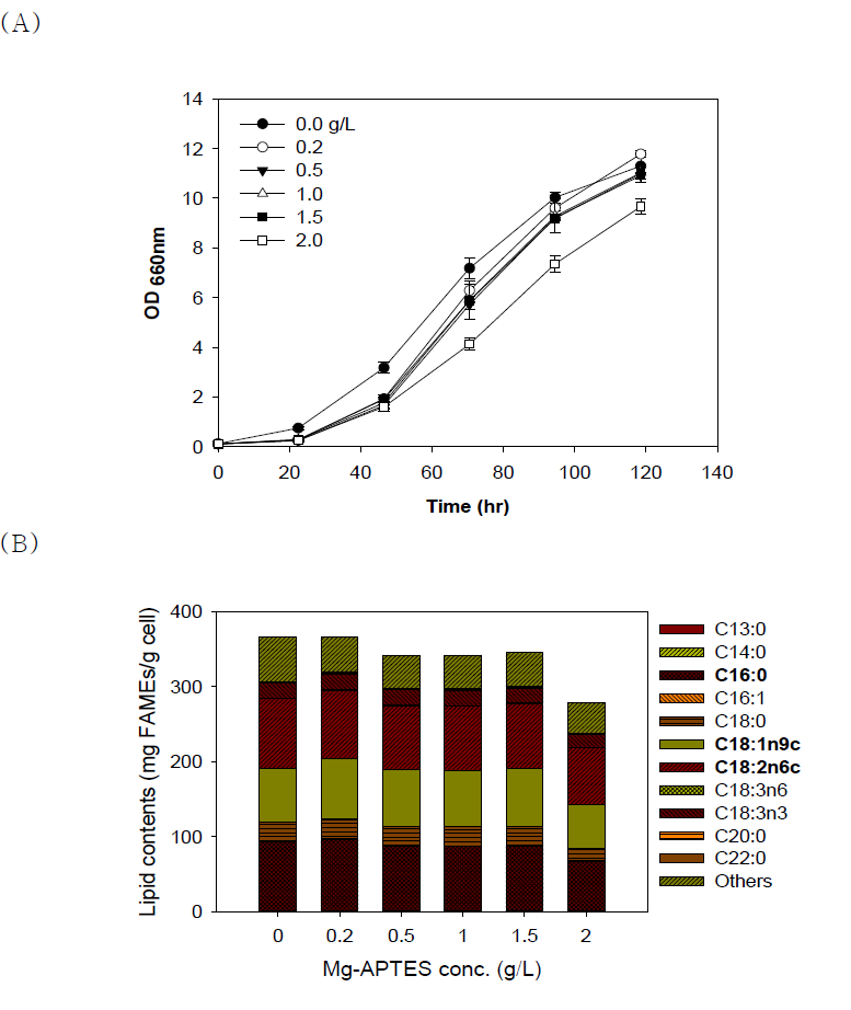 독립영양 배양조건에서 초기 아미노클레이 농도에 따른 Chlorella sp. KR-1의 균체 성장(A) 및 FAME 함량 (B)