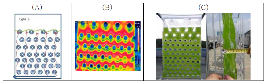 두께 5 cm의 평판 광생물반응기 ((A)도면,(B)열화상사진,(C)정면 사진 및 측면사진)