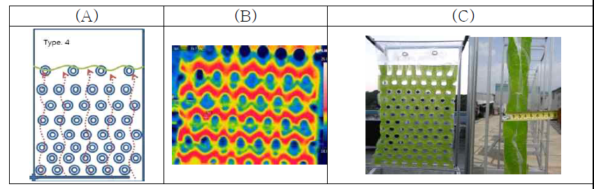 두께 4.5 cm의 평판 광생물반응기 ((A)도면, (B)열화상사진, (C) 정면사진 및 측면사진)