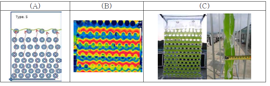 두께 4 cm의 평판 광생물반응기 ((A)도면,(B)열화상사진,(C)정면 사진 및 측면사진)