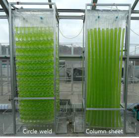 광생물반응기의 열접합부 디자인에 따른 반응기 사진