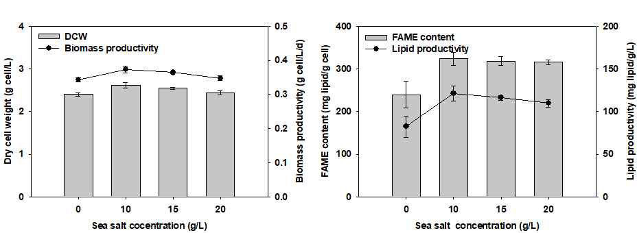 Sea salt 농도에 따른 바이오매스 생산성 및 오일생산성