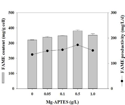 Mg-APTES 농도에 따른 최종 지질 함량 및 지질 생산성