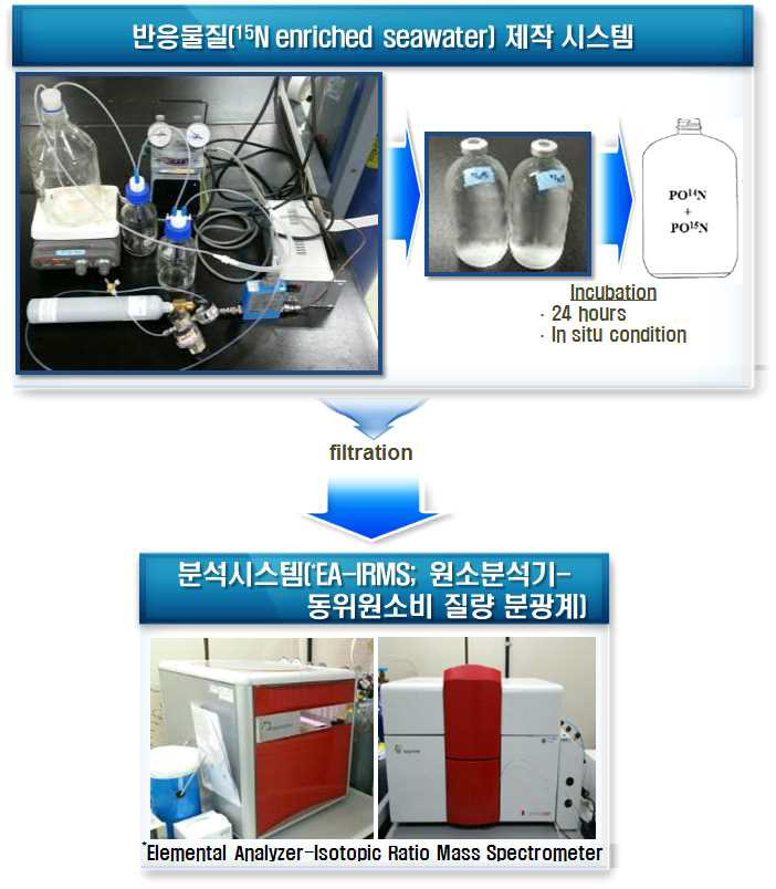 15N 동위원소 추적자를 이용한 질소고정 속도 측정 방법 모식도