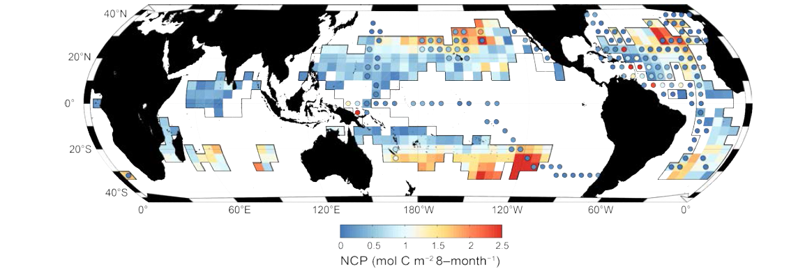 표층 탄소제거량 분포. 검은 실선: 질산염 농도가 0.2 μmol kg-1 이하인 지역, 색깔: 표층 탄소제거량, 원: (질소고정률 측정값 × 탄소/질소 비)로 구한 표층 탄소제거량