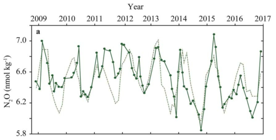 Nitrous oxide at Station ALOHA. Surface (5 and 25 m averaged) nitrous oxide concentrations (solid line) compared with the predicted nitrous oxide values when the ocean is in equilibrium with the atmosphere (dashed line)