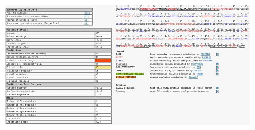 Human cytosolic KRS full length의 XtalPred 분석결과