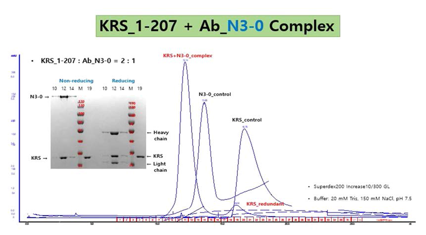 KRS_1-207 단백질과 N3-0 항체 복합체의 Size exclusion chromatography 결과