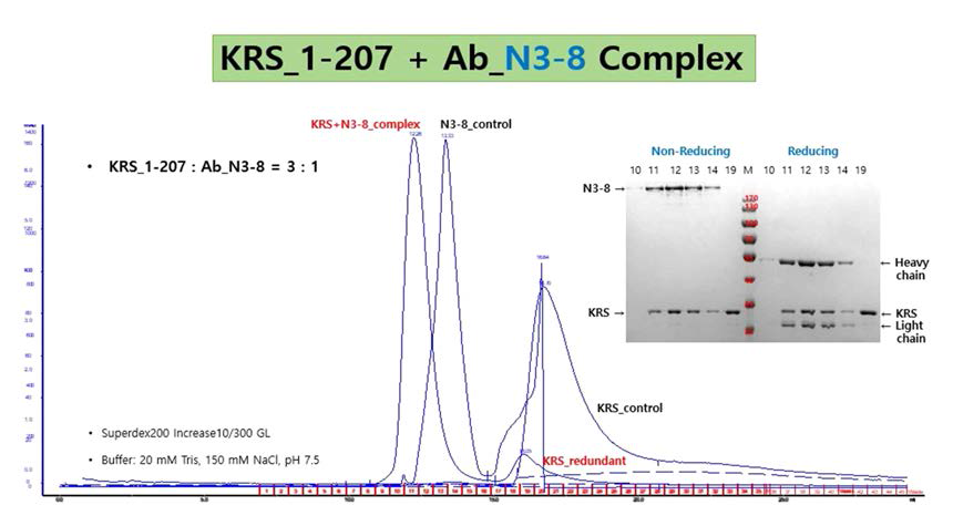 KRS_1-207 단백질과 N3-8 항체 복합체의 Size exclusion chromatography 결과