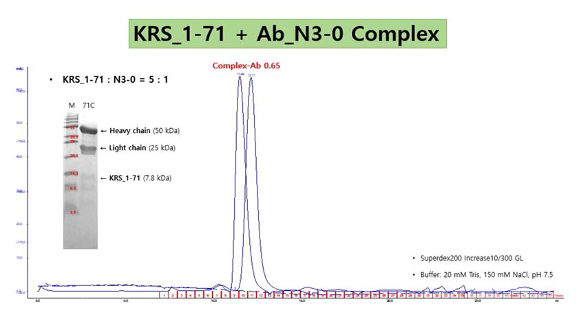 KRS_1-71과 N3-0 항체 복합체의 Size Exclusion Chromatography 결과