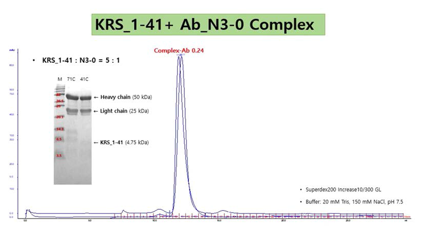 KRS_1-41과 N3-0 항체 복합체의 Size Exclusion Chromatography 결과