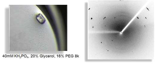 Crystal screening condition 2