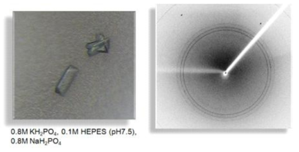 Crystal screening condition 3