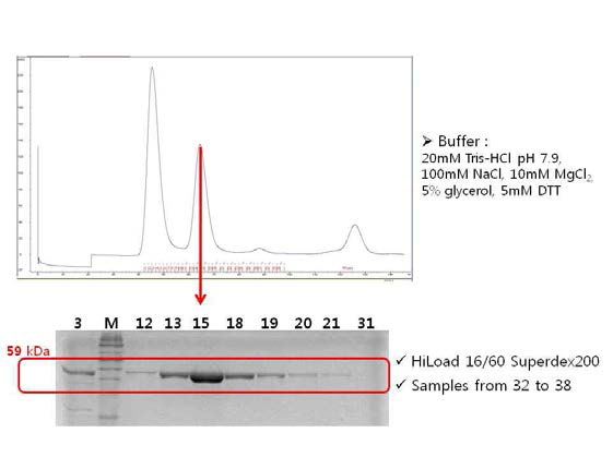 Size exclusion chromatography (1)