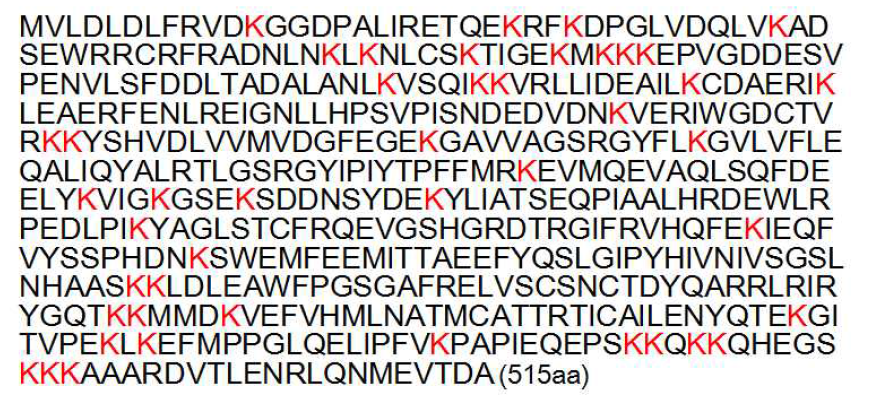 45개의 lysine을 가진 human SerRS 서열정보