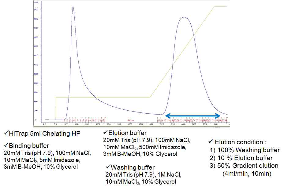 Affinity Chromatography