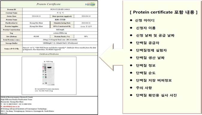 ARS clone 및 protein service시 제공되는 certificate에 포함된 정보 예시