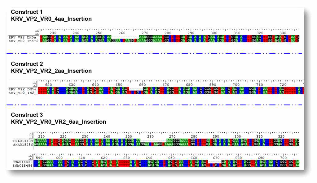 연구자요청에 따른 DNA mutation 제작서비스 결과물