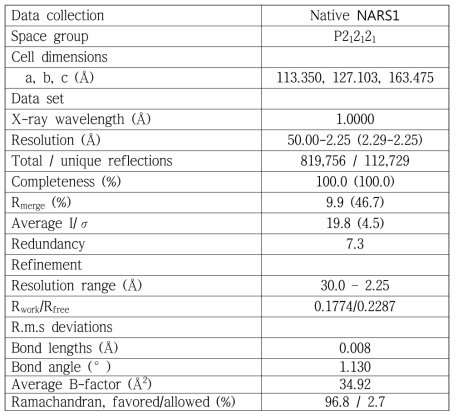 NRS1 catalytic domain의 결정구조 model의 statistics