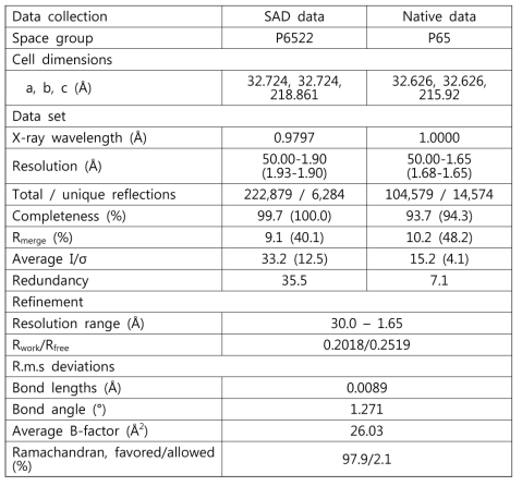 NRS N-terimnal extension domain 결정구조 model의 statistics