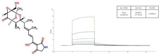 Tirandamycin B의 구조와 NRS catalytic domain과의 SPR