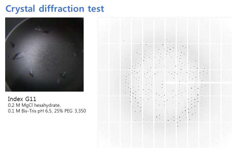Fc-fused protein 결정의 회절자료