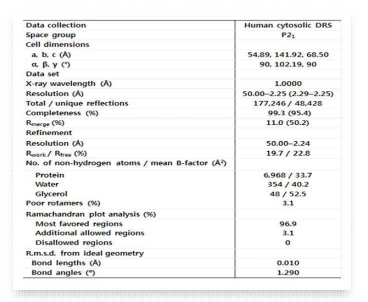 DRS 단백질의 분석 자료 정리 및 refinement