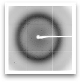 결정 회절 자료 - 8% (v/v) tacsimate (pH 8.0), 20% (w/v) polyethylene glycol 3350, 20% (v/v) glycerol